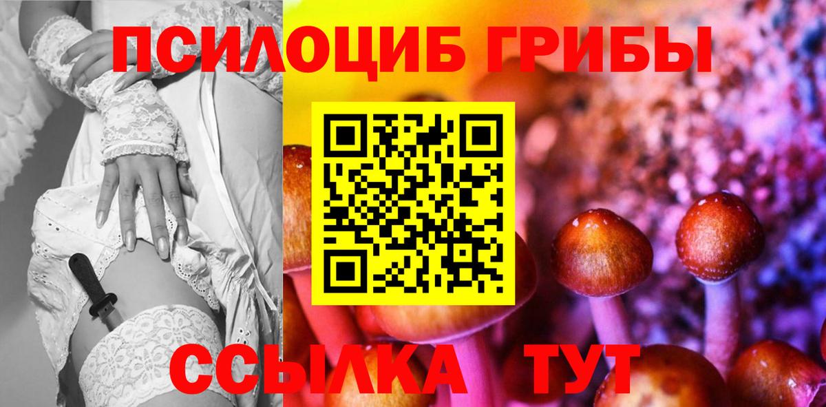 Керчь  Псилоцибиновые грибы Cubensis  Вход с VPN 