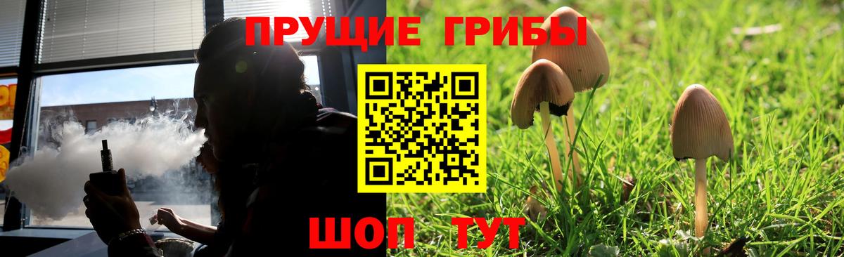 Псилоцибиновые грибы мицелий Керчь